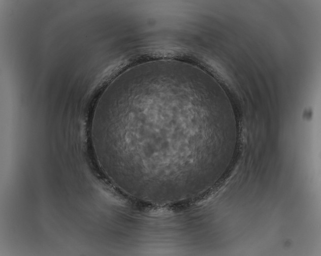 X0000091080258200708201441