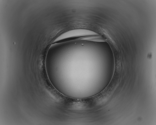 X0000091080259200708201441