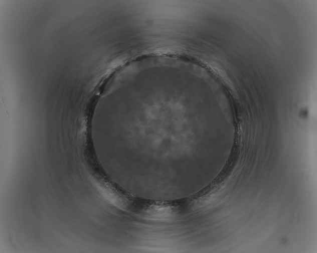 X0000091080260200708201441