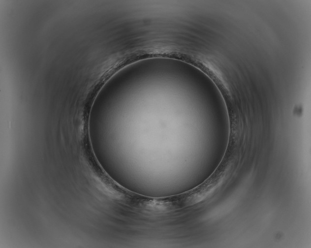 X0000091080261200708201441