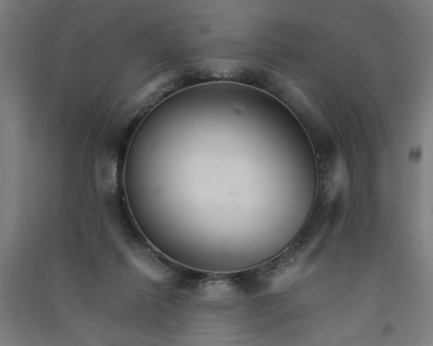 X0000091080262200708201441