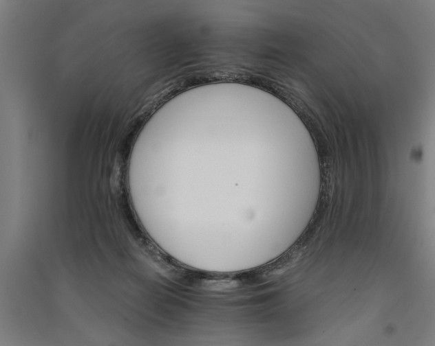 X0000091080266200708201441