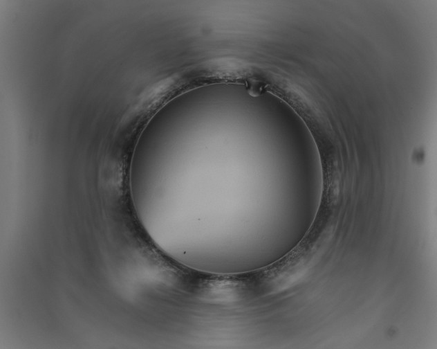 X0000091080268200708201441