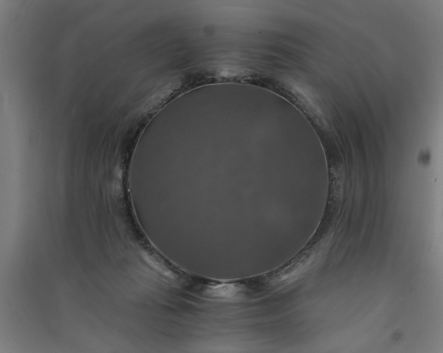 X0000091080269200708201441