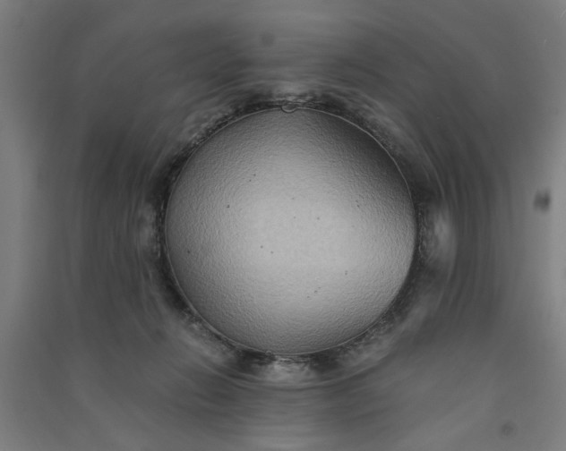 X0000091080270200708201441