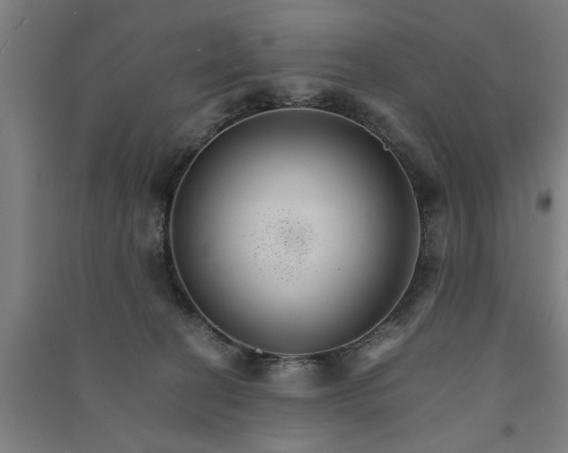 X0000091080274200708201441