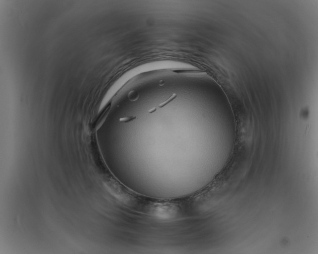 X0000091080275200708201441