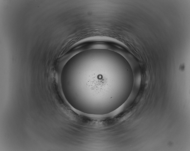 X0000091080276200708201441