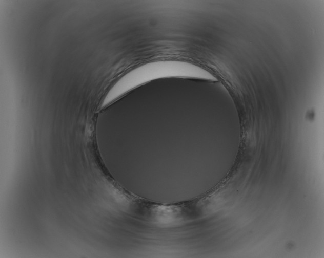 X0000091080277200708201441