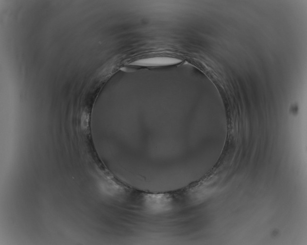 X0000091080281200708201441