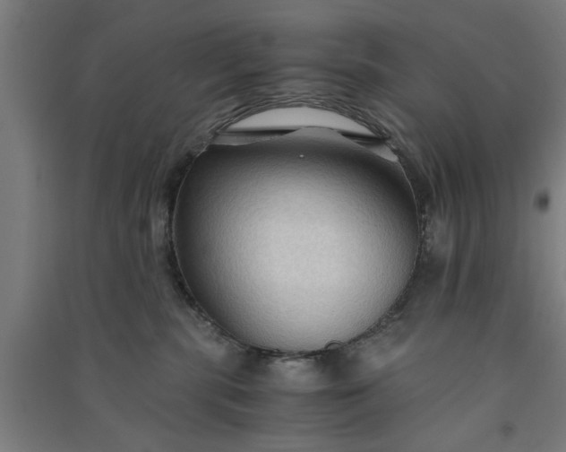 X0000091080283200708201441