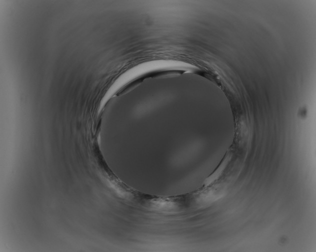 X0000091080284200708201441