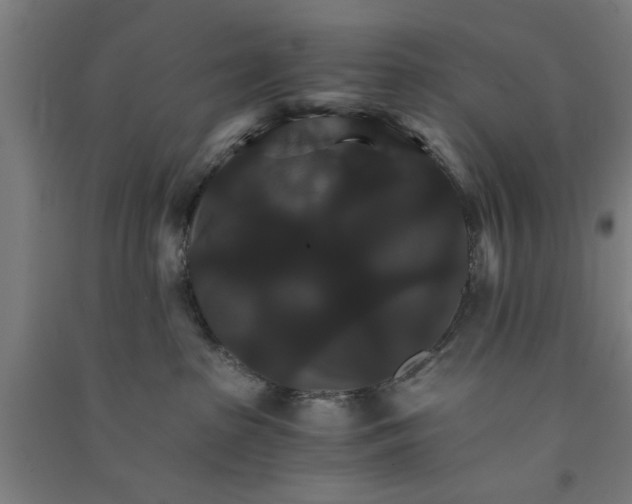 X0000091080285200708201441