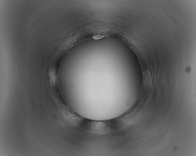 X0000091080287200708201441