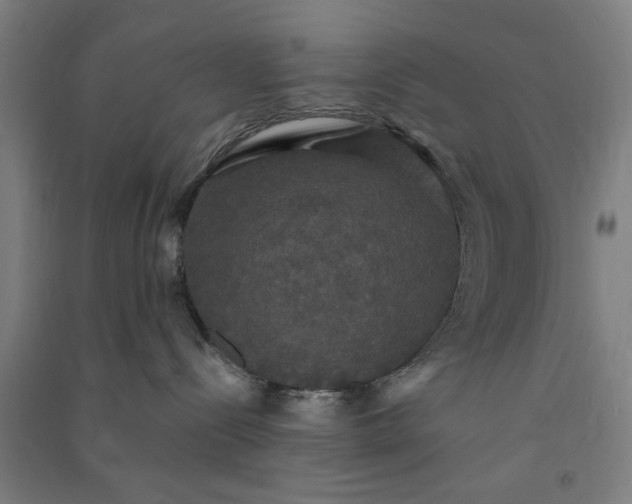 X0000091080288200708201441