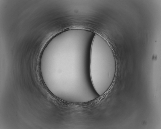 X0000091080289200708201440