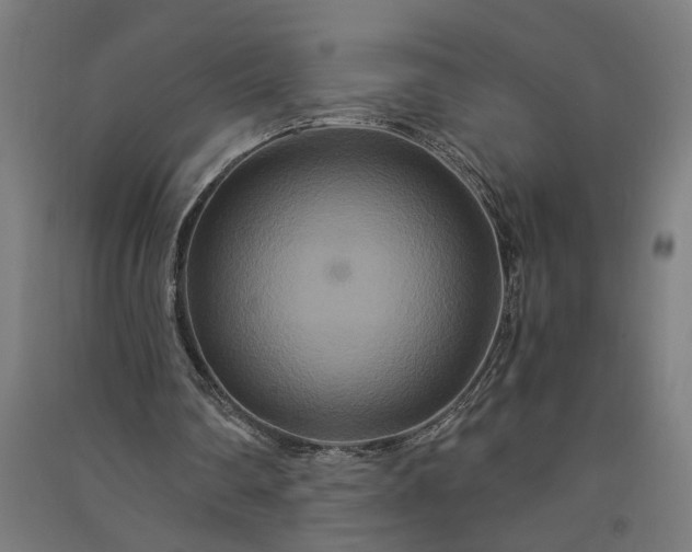 X0000091080290200708201440