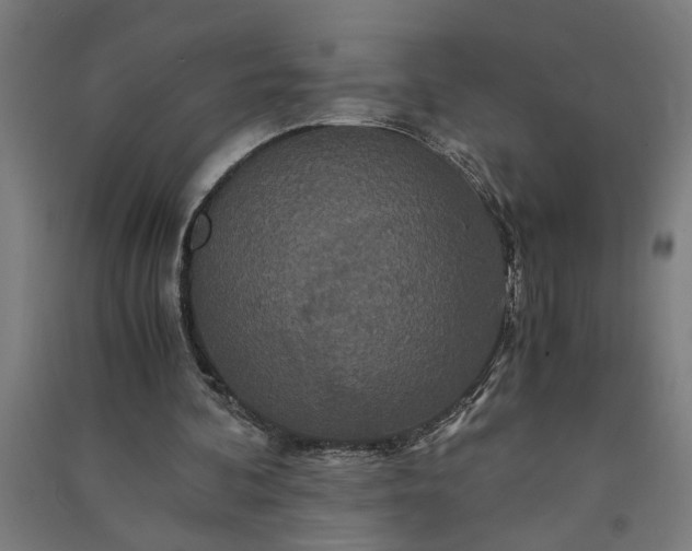 X0000091080292200708201440