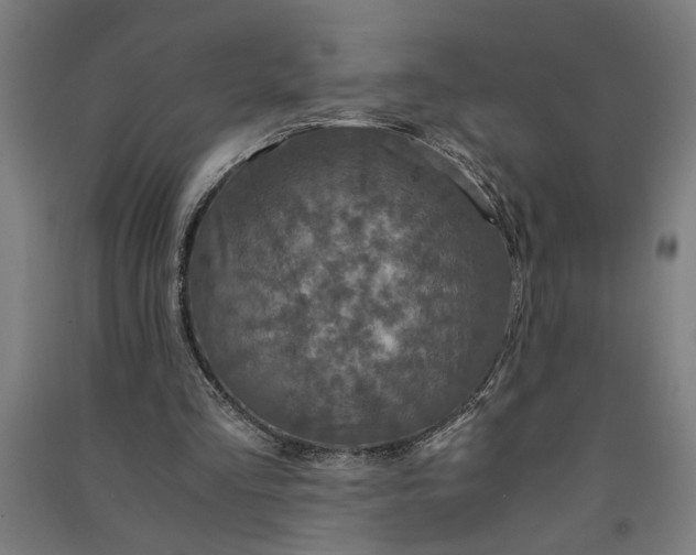 X0000091080293200708201440