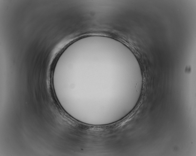 X0000091080294200708201440