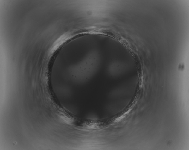 X0000091080295200708201440