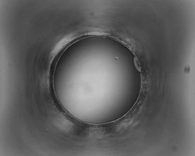 X0000091080296200708201440