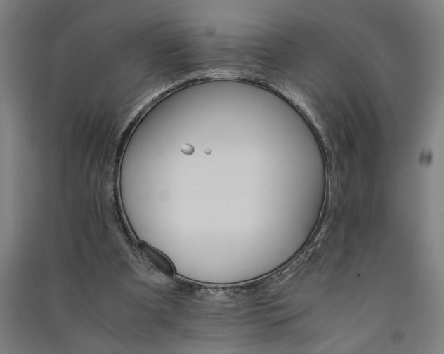 X0000091080297200708201440