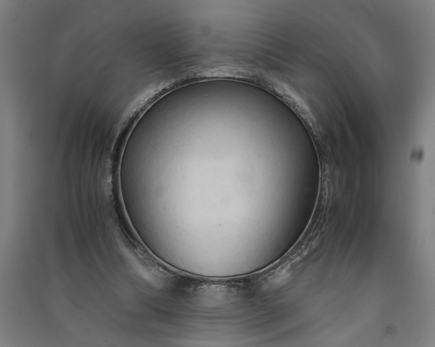 X0000091080298200708201440