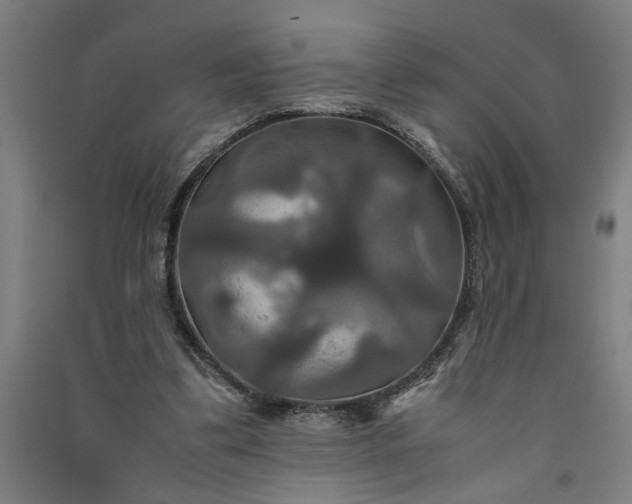 X0000091080299200708201440