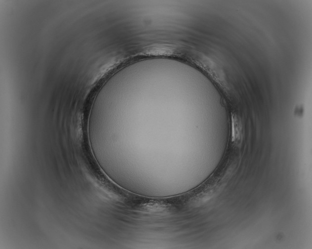 X0000091080300200708201440