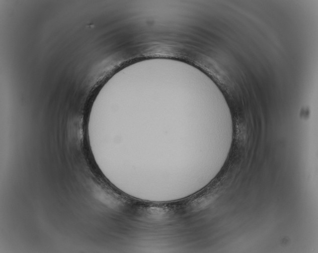 X0000091080302200708201440