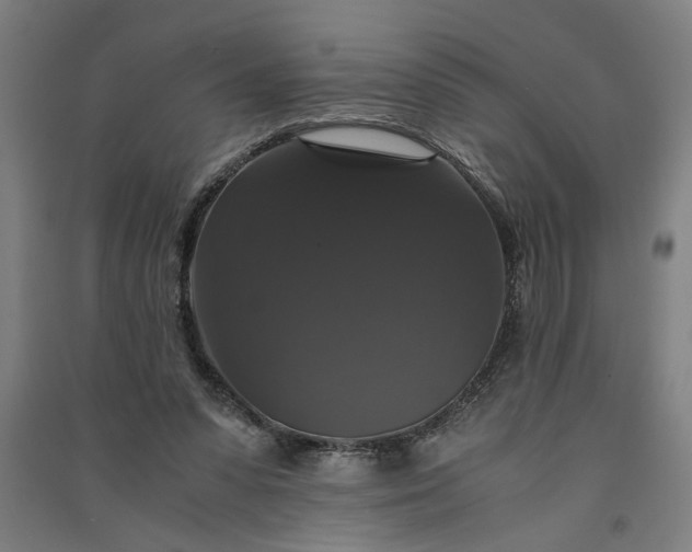 X0000091080303200708201440