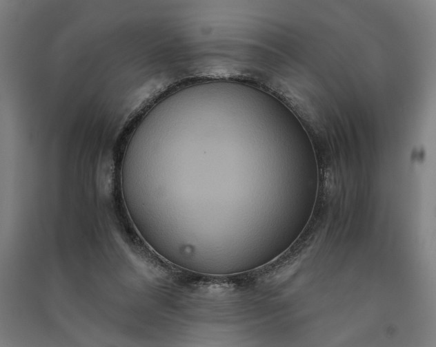 X0000091080304200708201440