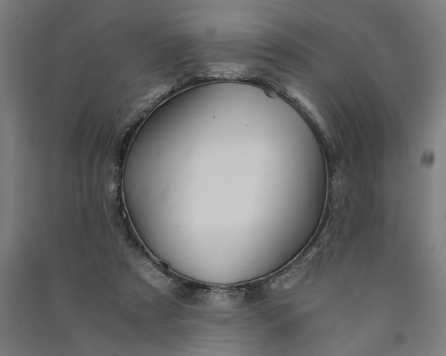 X0000091080305200708201440