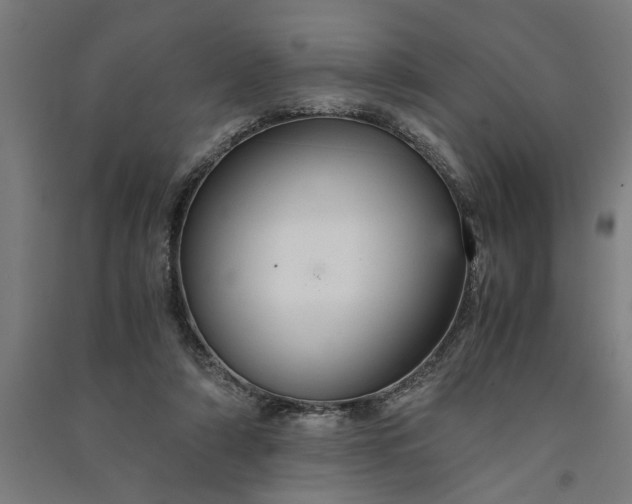 X0000091080306200708201440