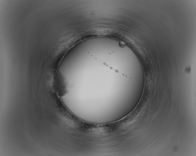 X0000091080307200708201440