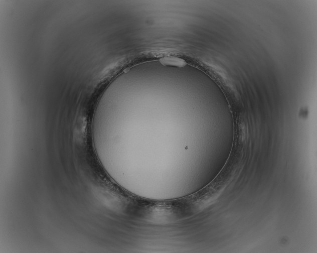 X0000091080308200708201440