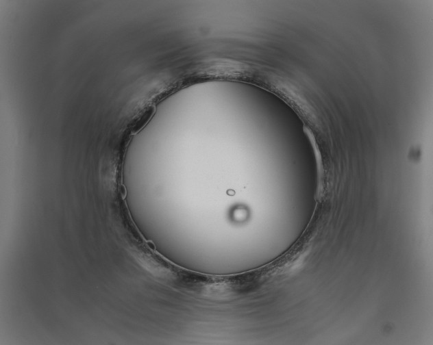 X0000091080309200708201440