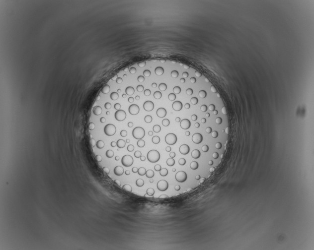 X0000091080311200708201440