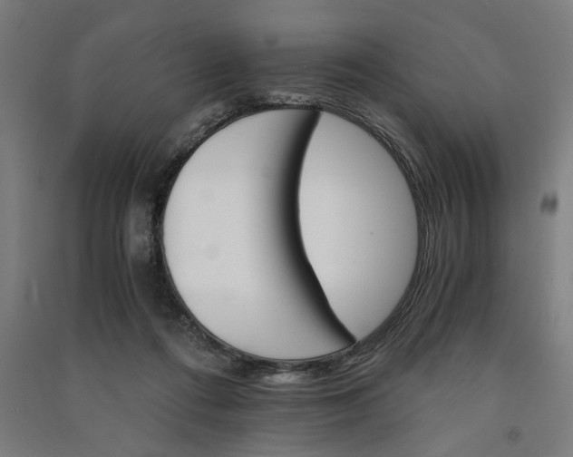 X0000091080312200708201440