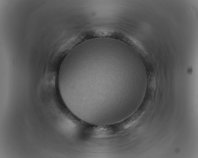 X0000091080315200708201440