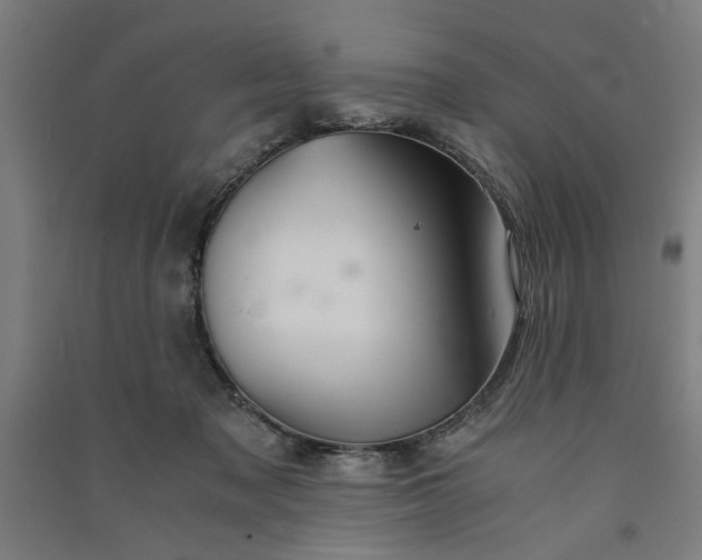 X0000091080317200708201440