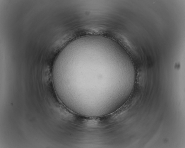 X0000091080318200708201440