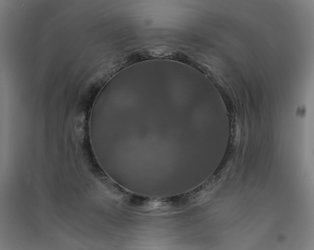 X0000091080319200708201440