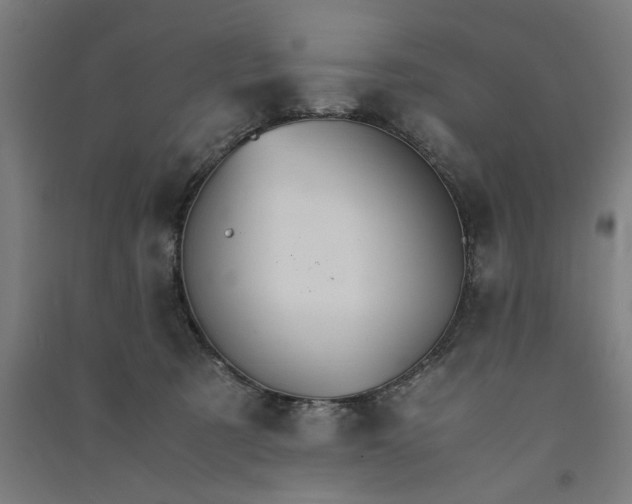 X0000091080321200708201440