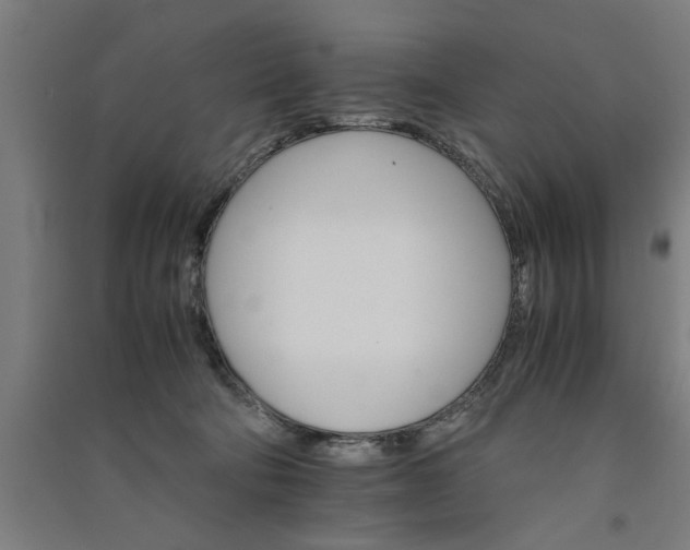 X0000091080322200708201440