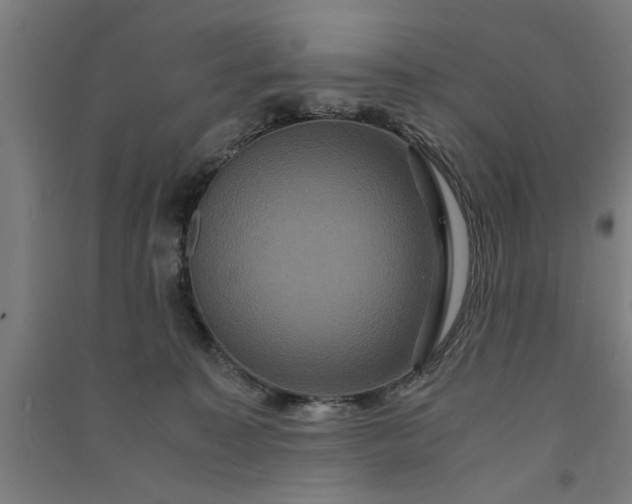 X0000091080323200708201440