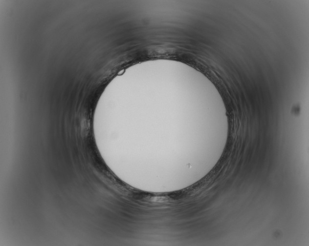 X0000091080324200708201440