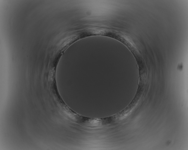 X0000091080325200708201440