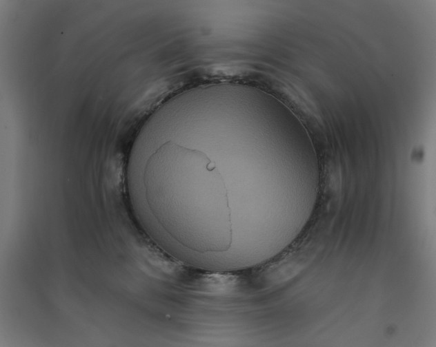 X0000091080328200708201440